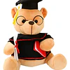 Oso De Peluche Graduación Con Gorro Y Diploma Tierno Calidad