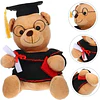Oso De Peluche Graduación Con Gorro Y Diploma Tierno Calidad