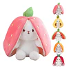 Peluche Conejo Frutal Con Cremallera Kawaii Orejas Largas