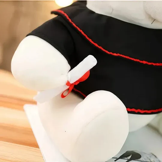 Oso De Peluche Graduación Con Gorro Y Diploma Tierno Calidad