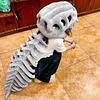 Peluche Dinosaurio Esqueleto Disfraz Cosplay Fossil Grande