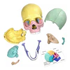 Modelo Cráneo Humano Didáctico Armable Anatomía Rompecabezas