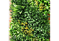 Jardín Vertical Selva  100x100 cm