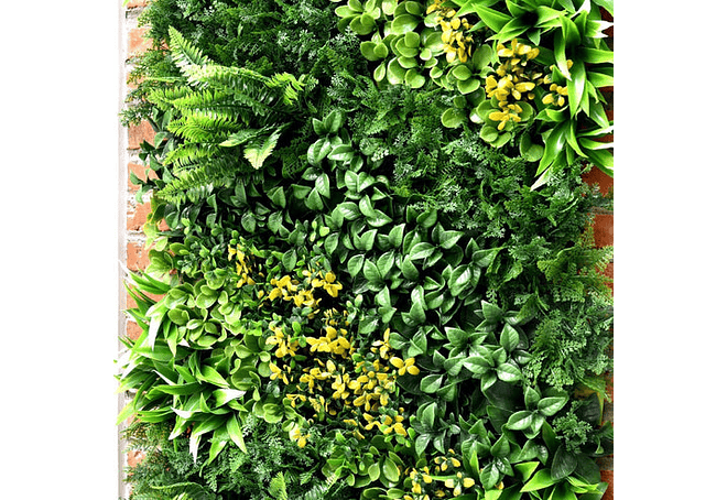 Jardín Vertical Selva  100x100 cm