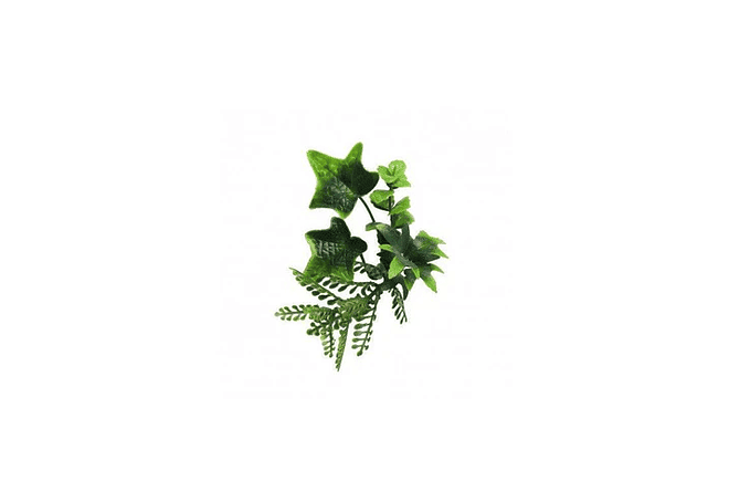 Jardín Vertical Tropical  50x50 cm x 25 Unidades