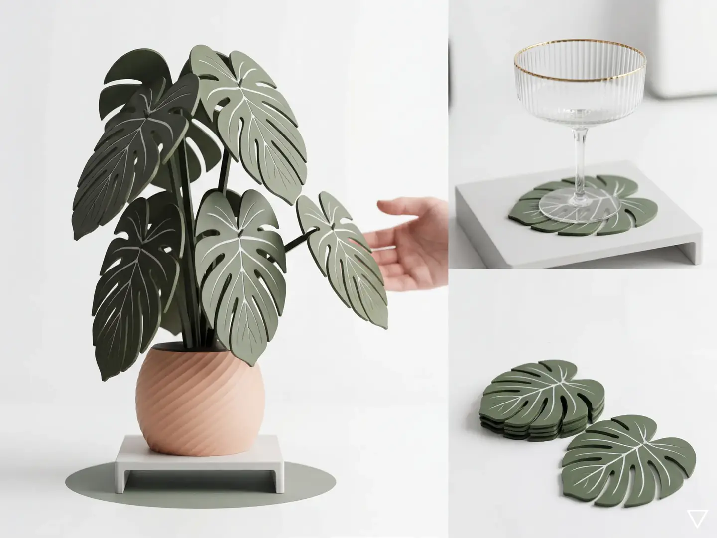 Posavasos Monstera 1