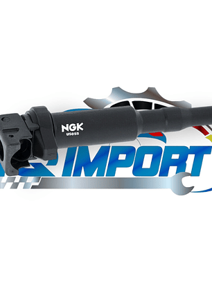 Bobina de Encendido para BMW Serie E y F