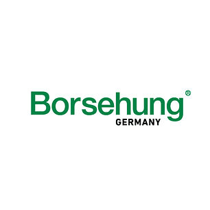 Borsehung