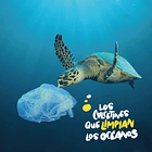 CALCETINES SOSTENIBLES DIBUJOS TORTUGA M ( 36-39) 3