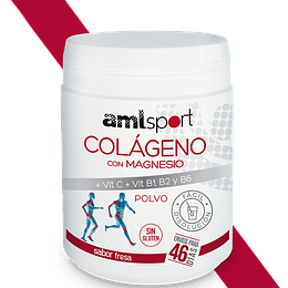 COLÁGENO CON MAGNESIO + VIT C + VIT B1, B2 y B6 (350 G) 