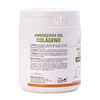 AMINOÁCIDOS DEL COLÁGENO (350 gramos) – Polvo Sabor cookies and cream – Ana Maria Lajusticia