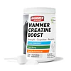 CREATINA BOOST – HAMMER NUTRITION