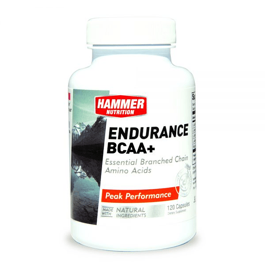​Endurance BCAA+ Hammer Nutrition