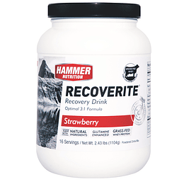 Recoverite (32 porciones)