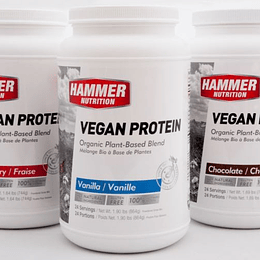 Proteina Vegana - Frutilla 