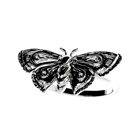 NOCTUA ATROPOS