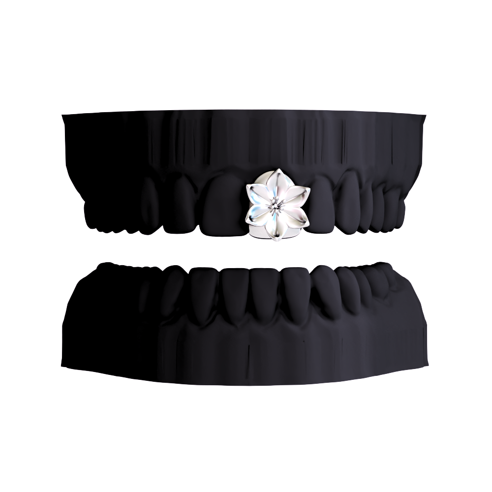 Diente Lirio - PROMO ESTUDIANTE 1