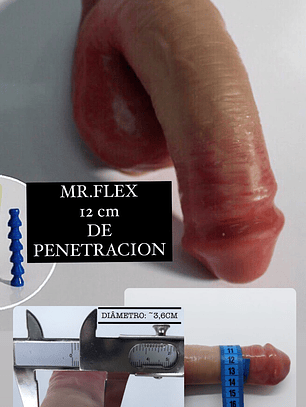 PACK PROMOCIONAL MR.FLEX