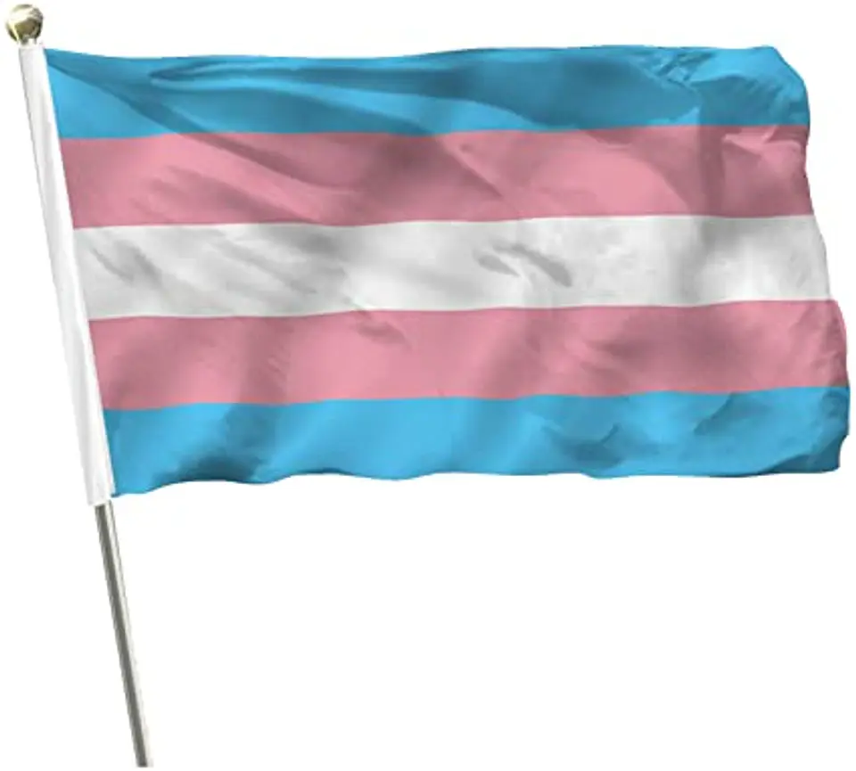 BANDERA DE MANO (MEDIANA) 1