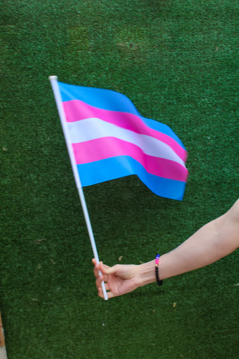 BANDERA DE MANO (MEDIANA) 2