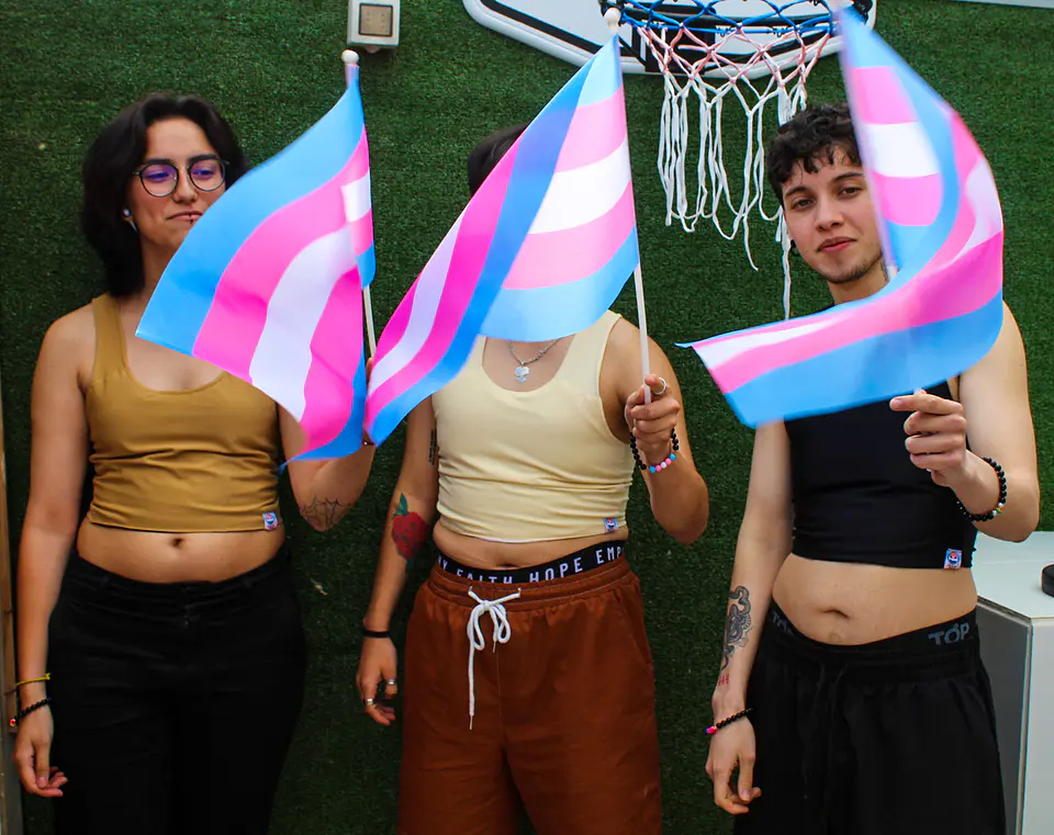 BANDERA DE MANO (MEDIANA) 3