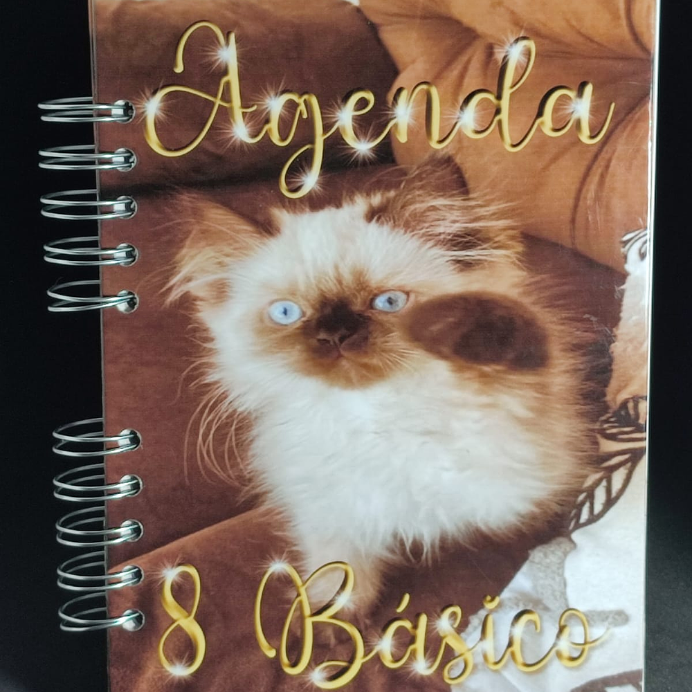 Agendas Personalizadas