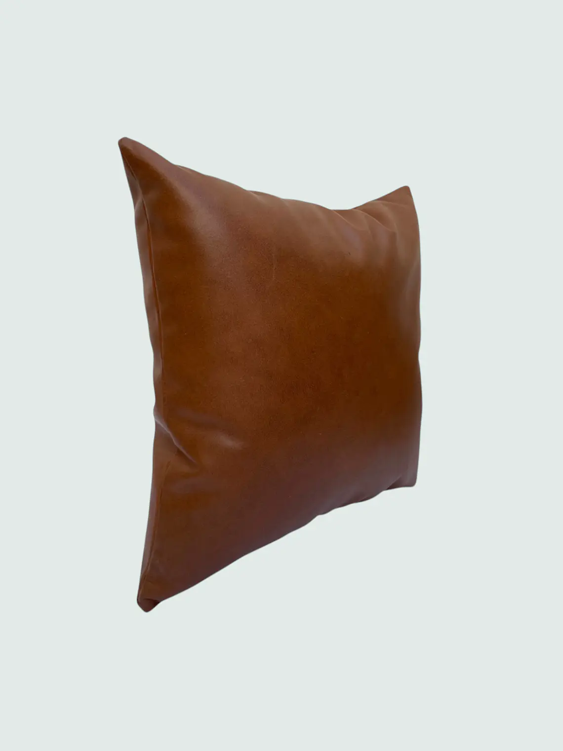 Cojín de Cuero 3