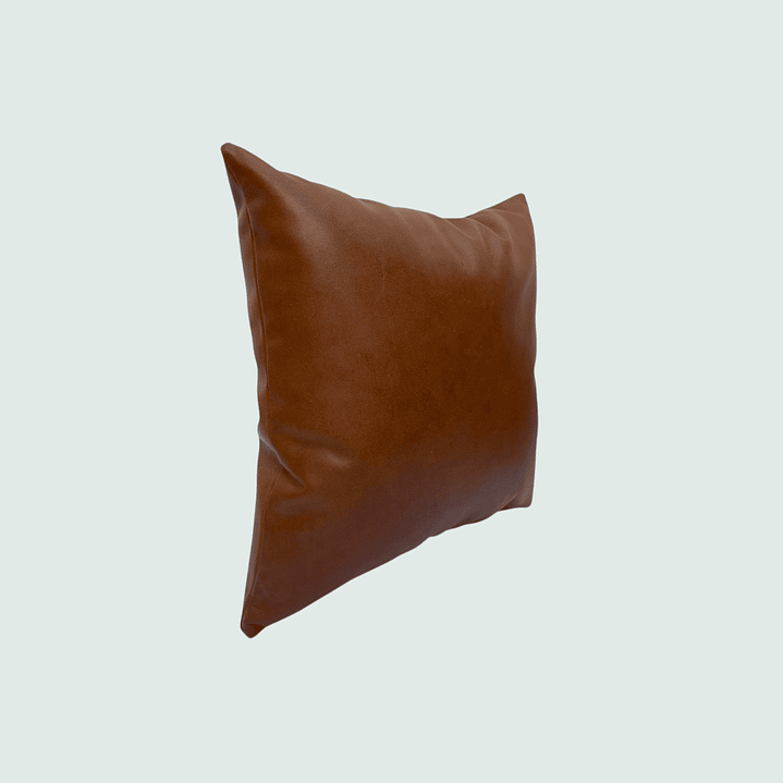 Cojín de Cuero 3