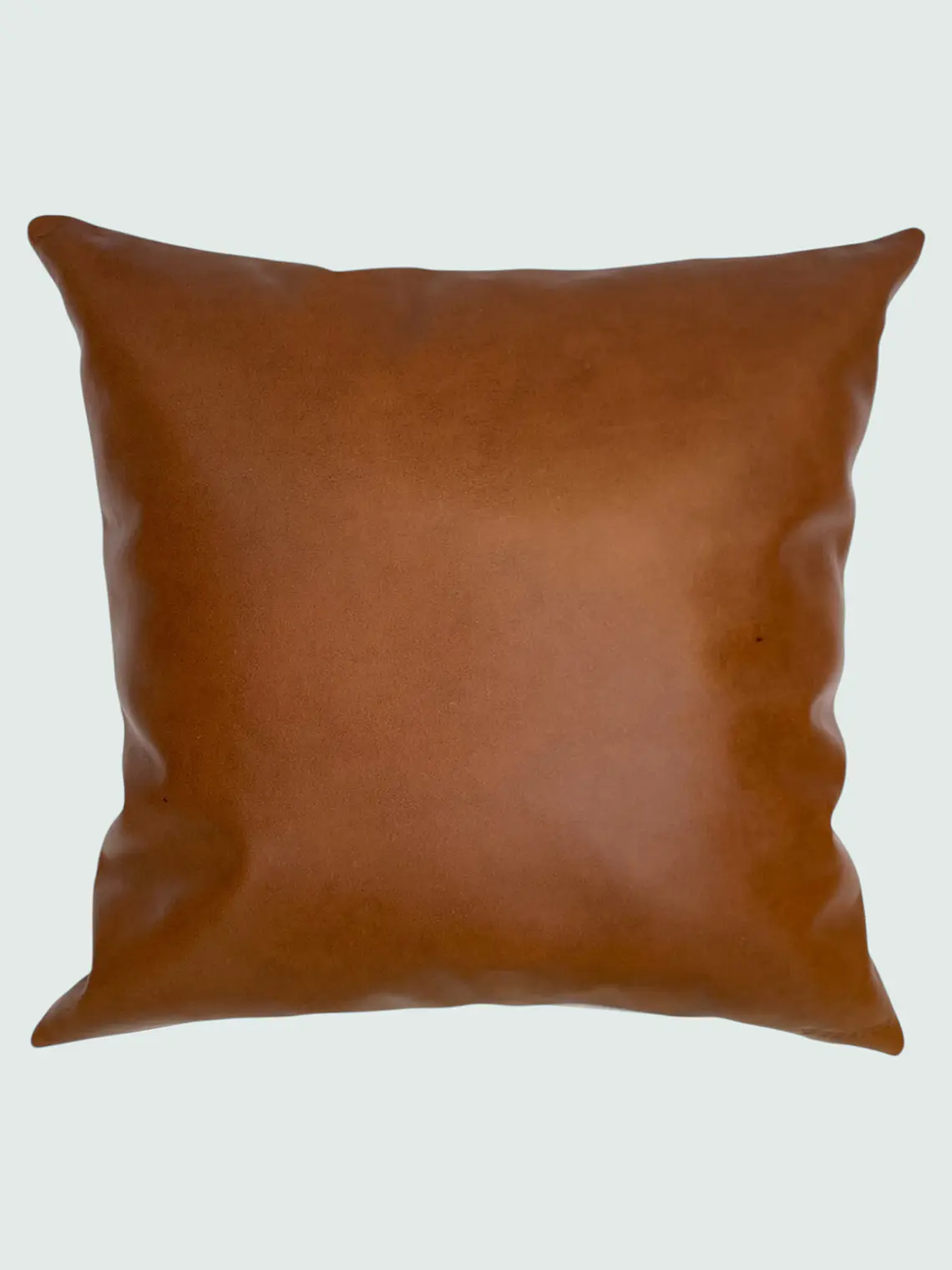 Cojín de Cuero 1
