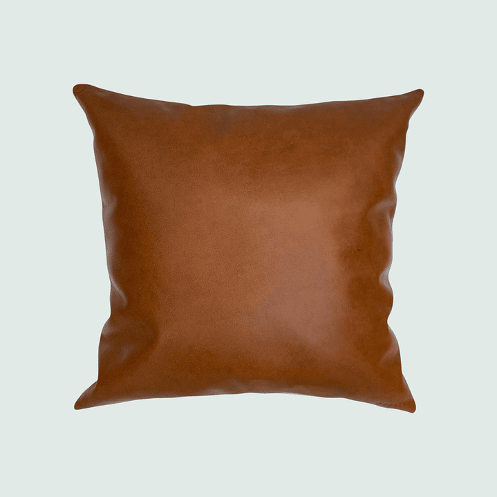 Cojín de Cuero 1