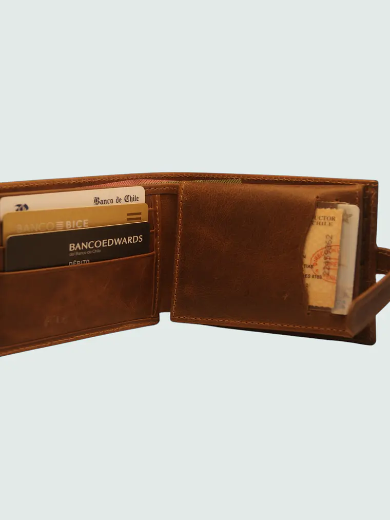 Billetera Premium 6
