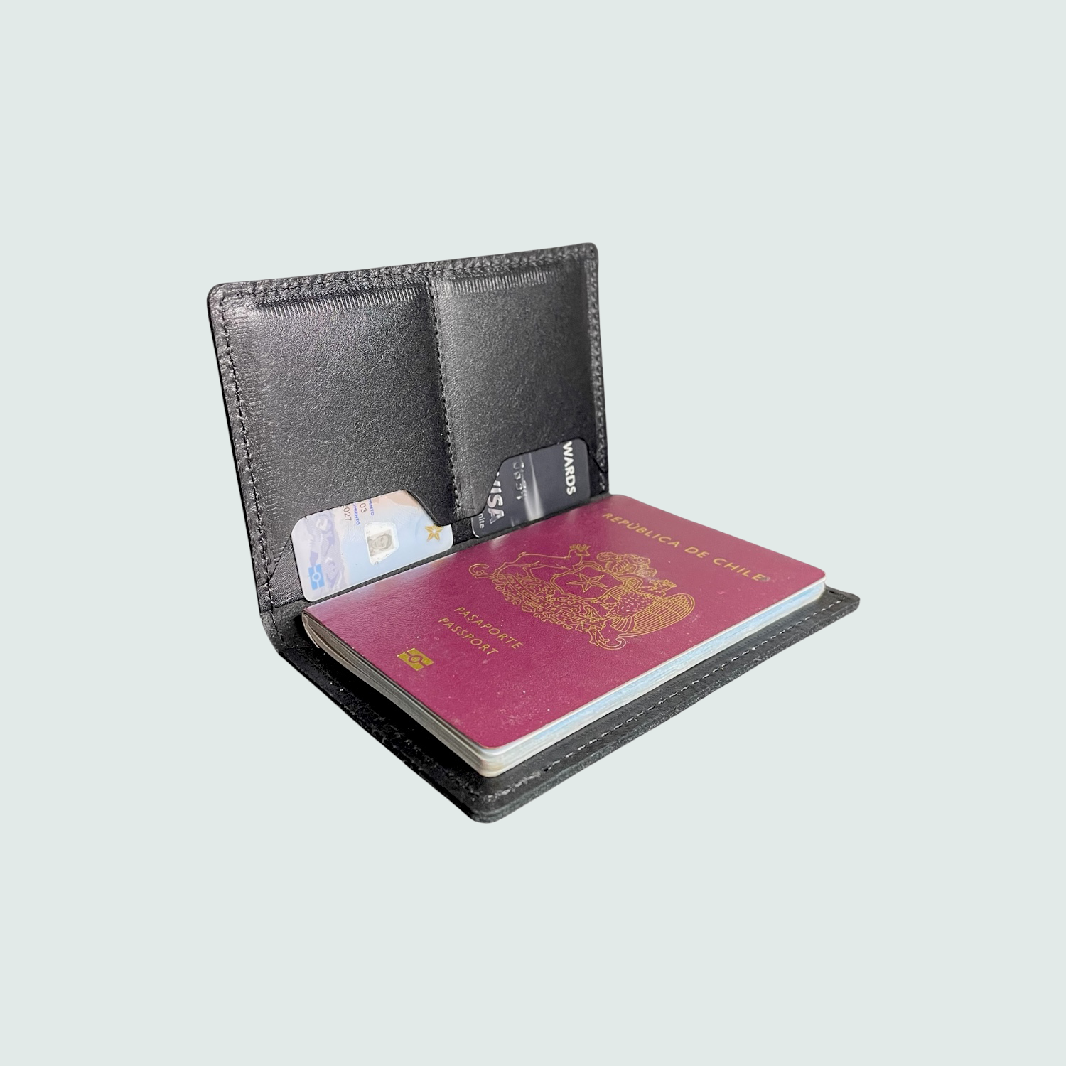 Porta Pasaporte 5