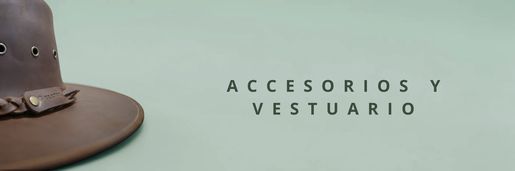 Accesorios y Vestuario