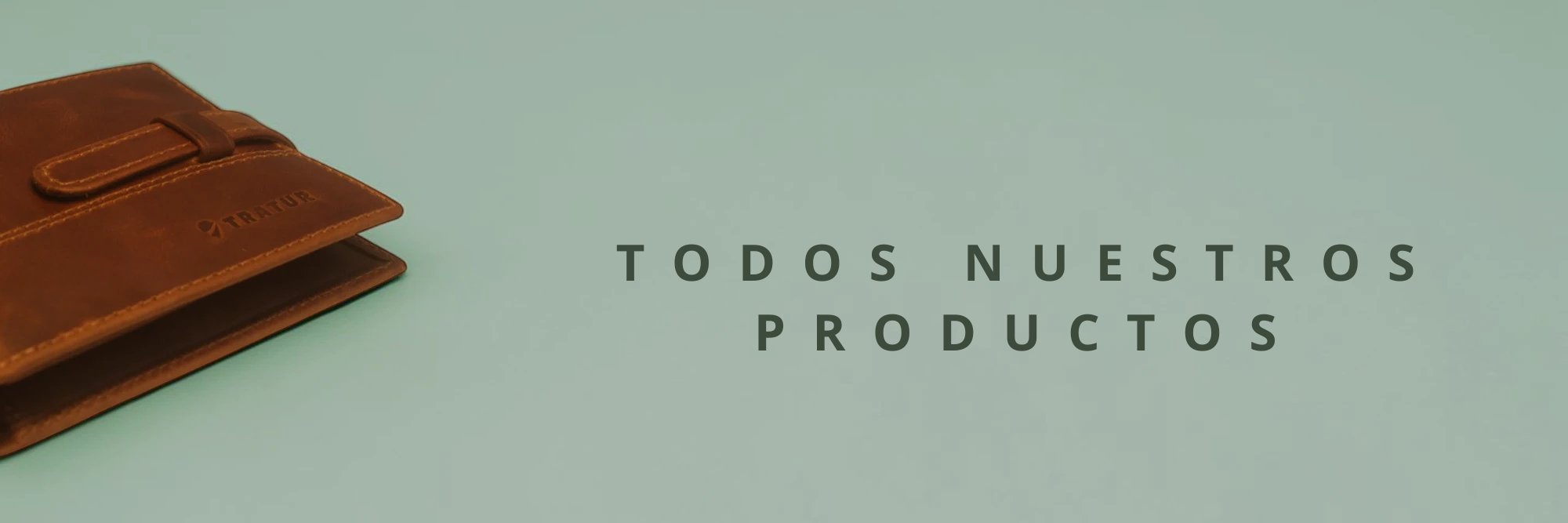 Ver Todos