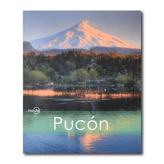 INSIDE PUCON