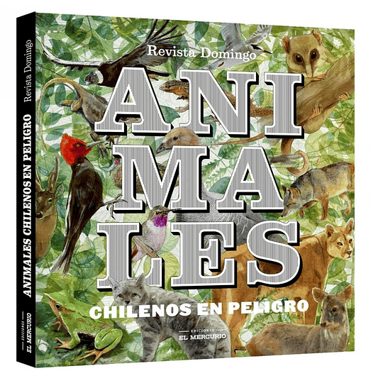 Animales chilenos en Peligro