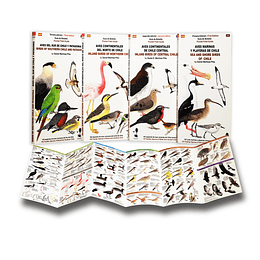 Pack Guías de Bolsillo - Aves de Chile