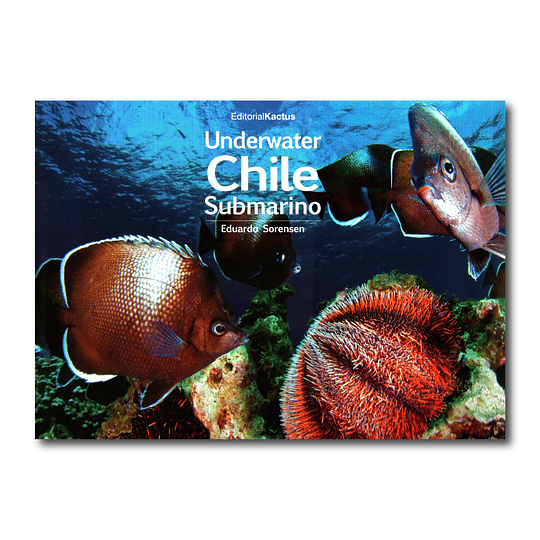 Chile Submarino - Underwater - Eduardo Sorensen