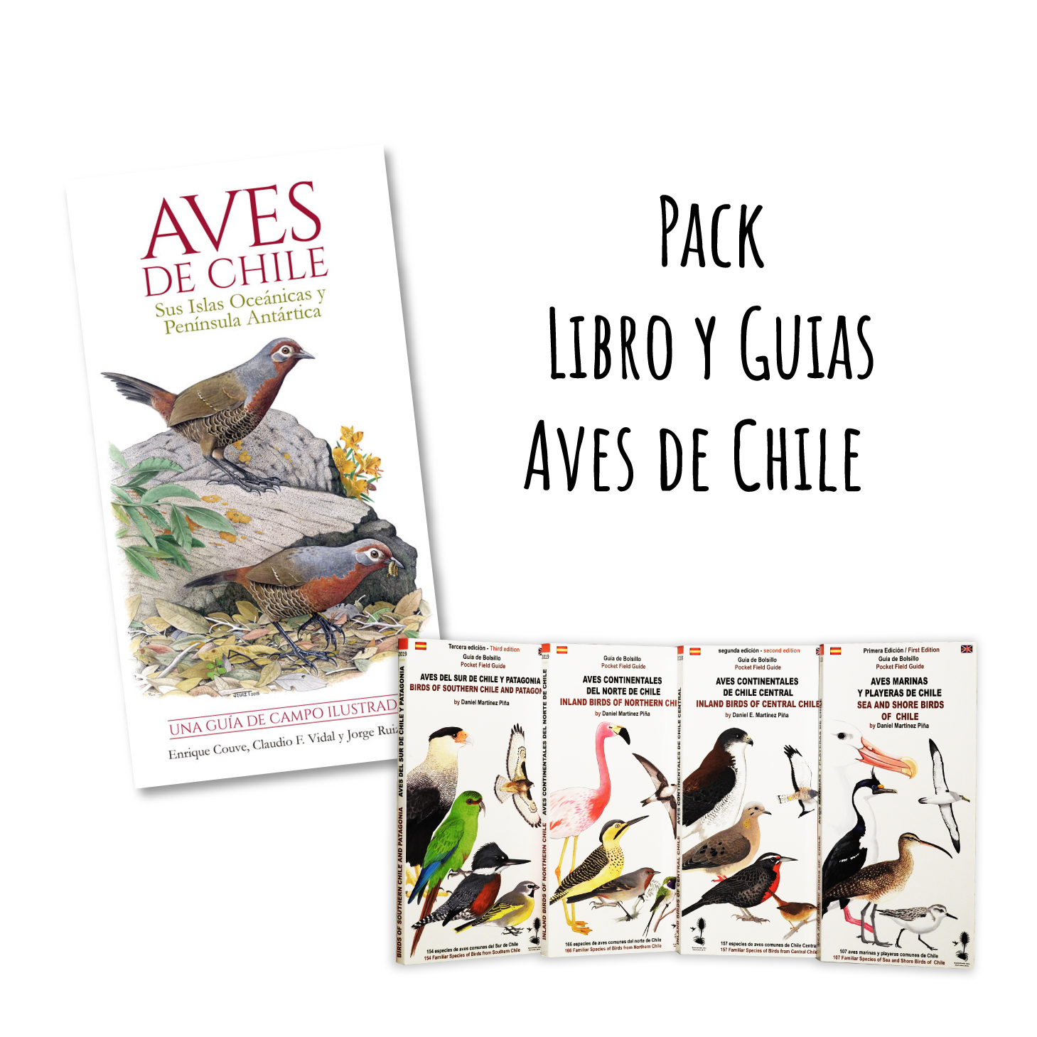 Pack Libro y Guias Aves de Chile (Despachos de...