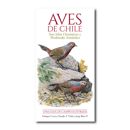 Pack Libro y Guias Aves de Chile