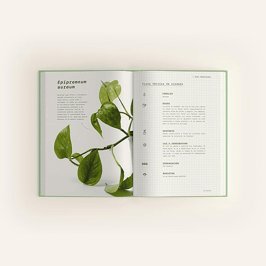 Laboratorio Botánico : una guía para cuidar experimentar y crecer con plantas de interior