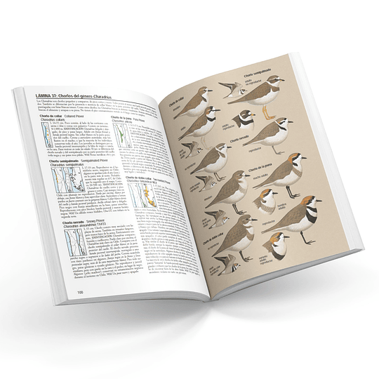 Libro Aves de Chile - Álvaro Jaramillo