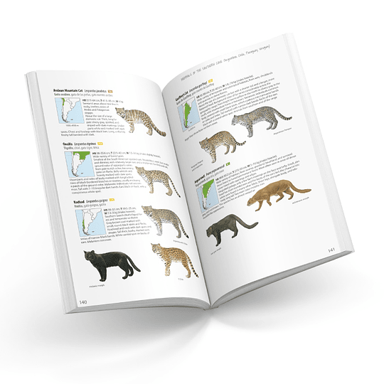 Mammals of the Southern Cone (Argentina, Chile, Paraguay, Uruguay)