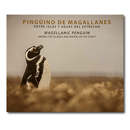Pingüino de Magallanes - Entre islas y agua del estrecho