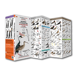 Guía de Bolsillo Aves marinas y Playeras de Chile