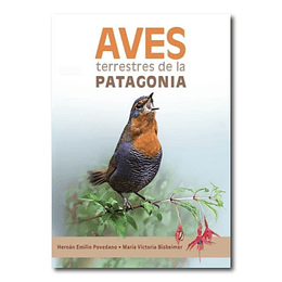 Aves terrestres de la Patagonia