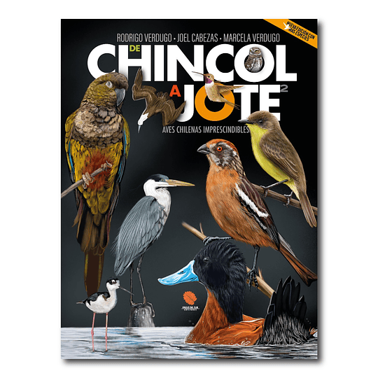 De chincol a jote 2: Aves chilenas imprescindibles