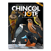De chincol a jote 2: Aves chilenas imprescindibles