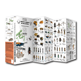 Guía de bolsillo Insectos de Chile