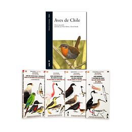 Pack Aves de Chile - Jaramillo
